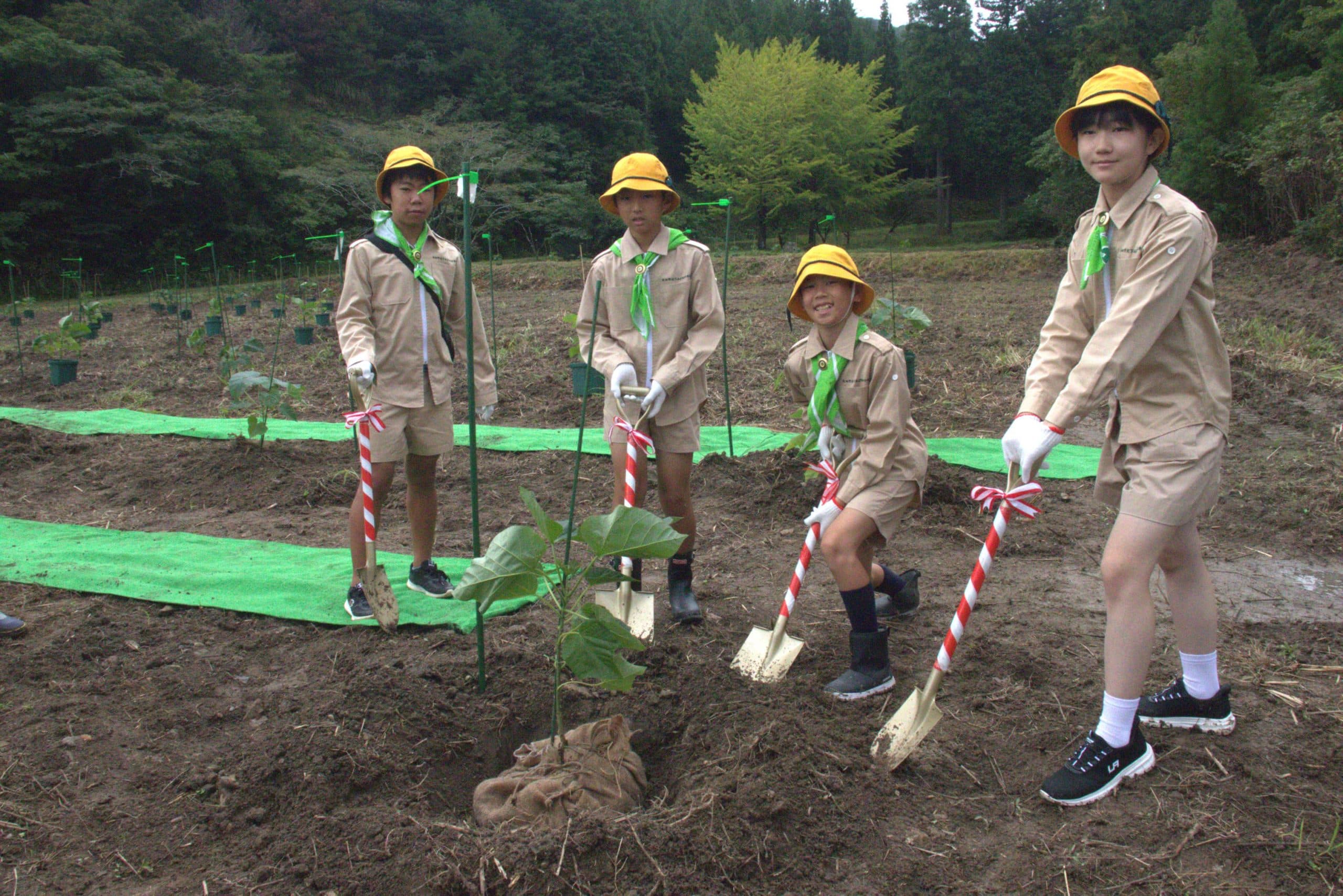 緑の少年団の団員4名が圃場で早成桐の苗木をスコップで植えている様子