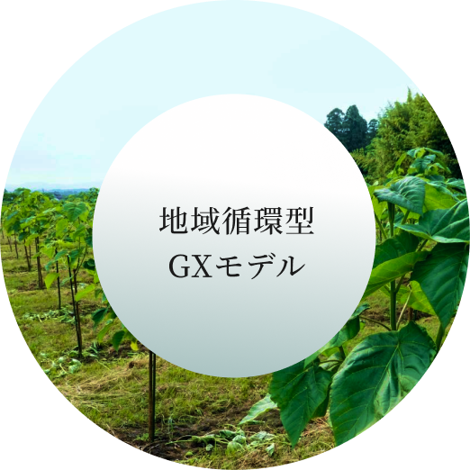 地域循環型GXモデル